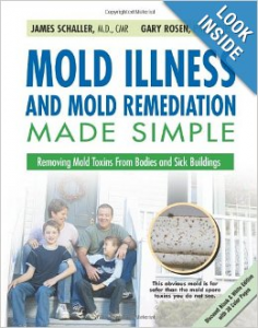 Mold Illness and Mold Remediation Made Simpl