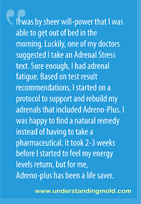 It was by sheer will-power that I was able to get out of bed in the morning. Luckily, one of my doctors suggested I take an Adrenal Stress text. Sure enough, I had adrenal fatigue. Based on test result recommendations, I started on a protocol to support and rebuild my adrenals that included Adreno-Plus. I was happy to find a natural remedy instead of having to take a pharmaceutical. It took 2-3 weeks before I started to feel normal again, but for me, Adreno-plus has been a life saver.