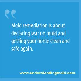 Mold remediation is about declaring war on mold and getting your home clean and safe again.